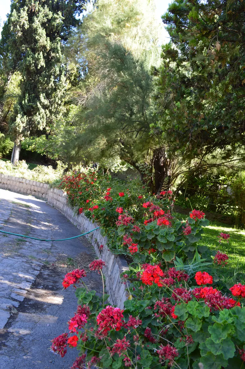 El camino de los geranios