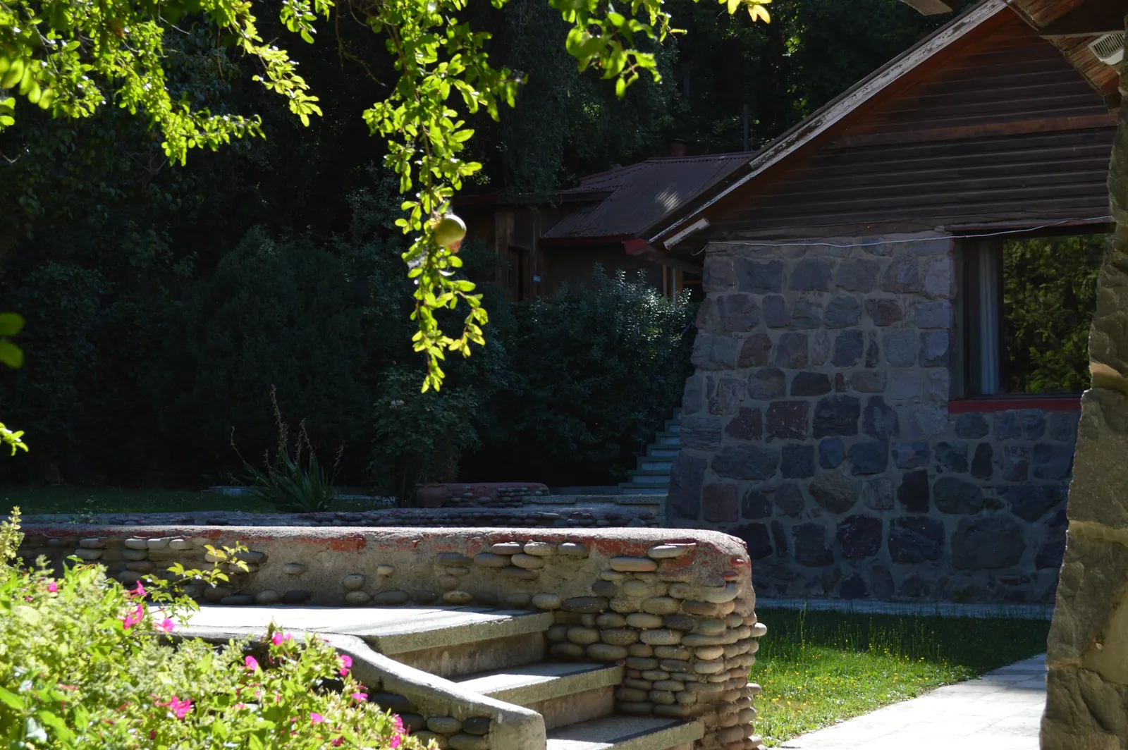 La casa entre los árboles