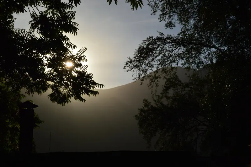 La casa desde el jardín, luz de tarde