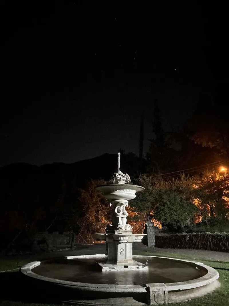 La copa de la fuente