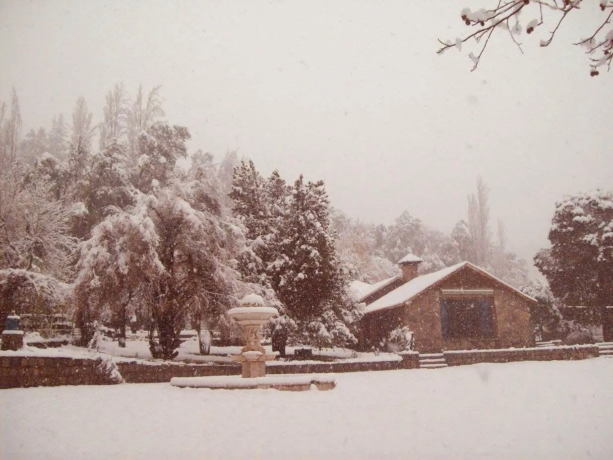 El jardín de la casa bajo la nieve