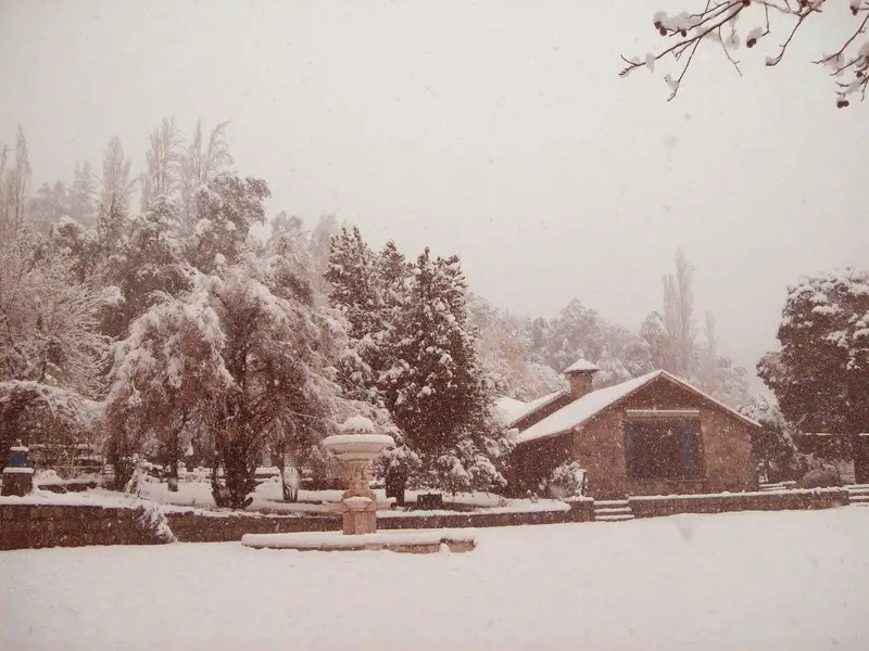 El jardín bajo la nieve