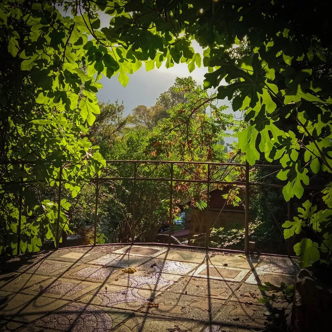 Los jardines en verano