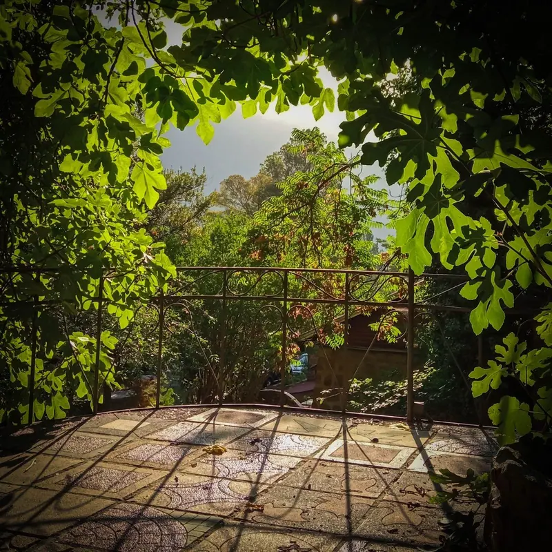 Los jardines en verano