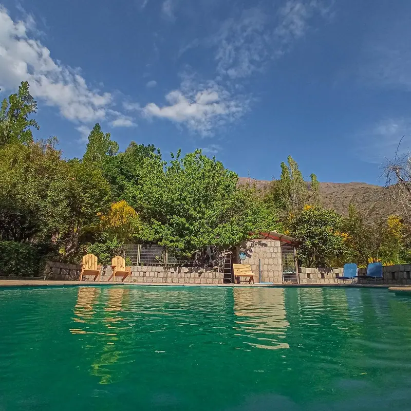 La piscina bajo los árboles