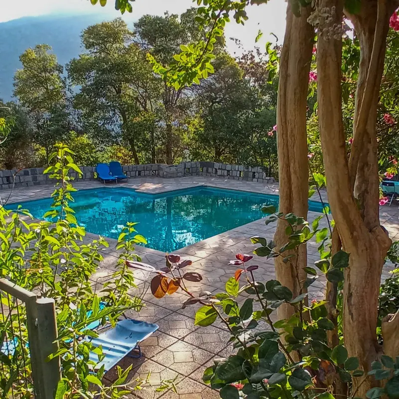 La piscina desde el rosal