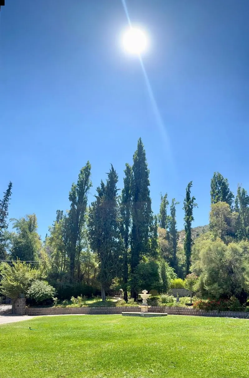 El prado, los álamos y la cordillera