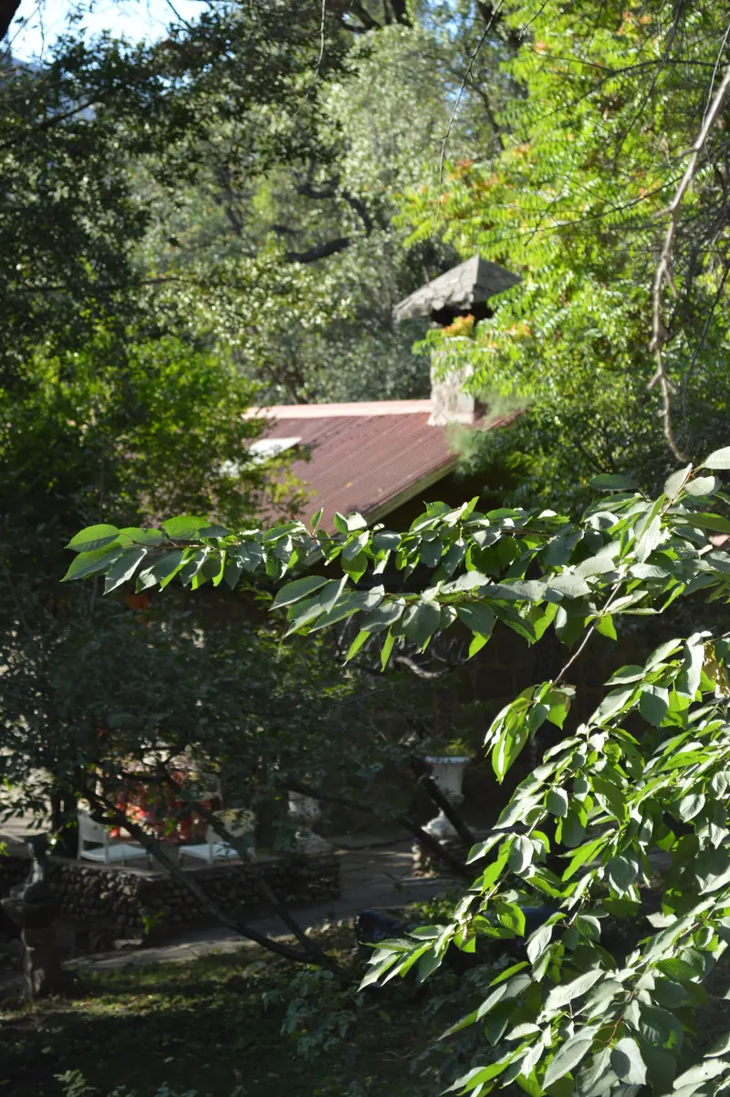 El sendero de entrada