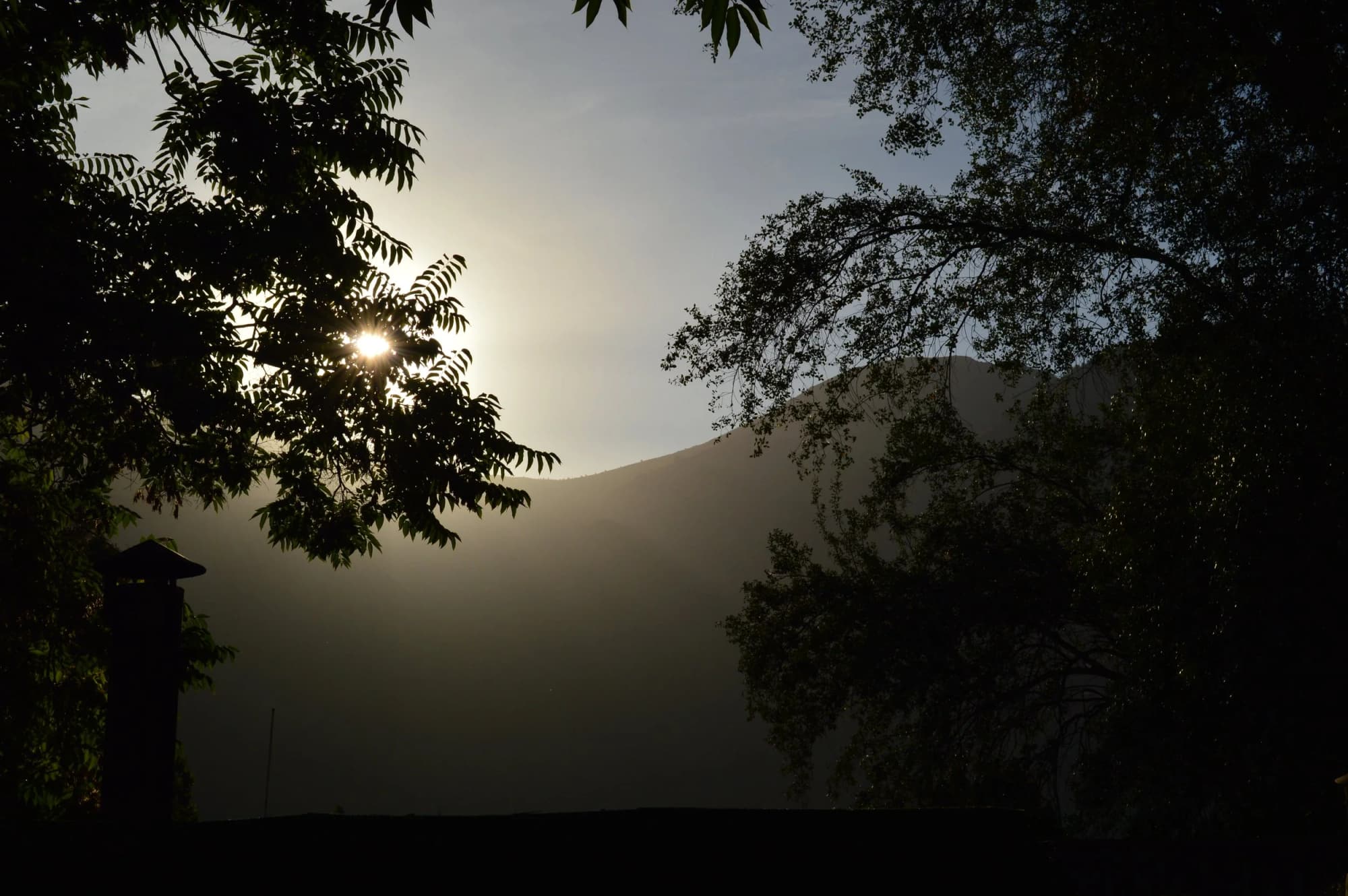 La luna sobre la cordillera, entre los árboles del jardín