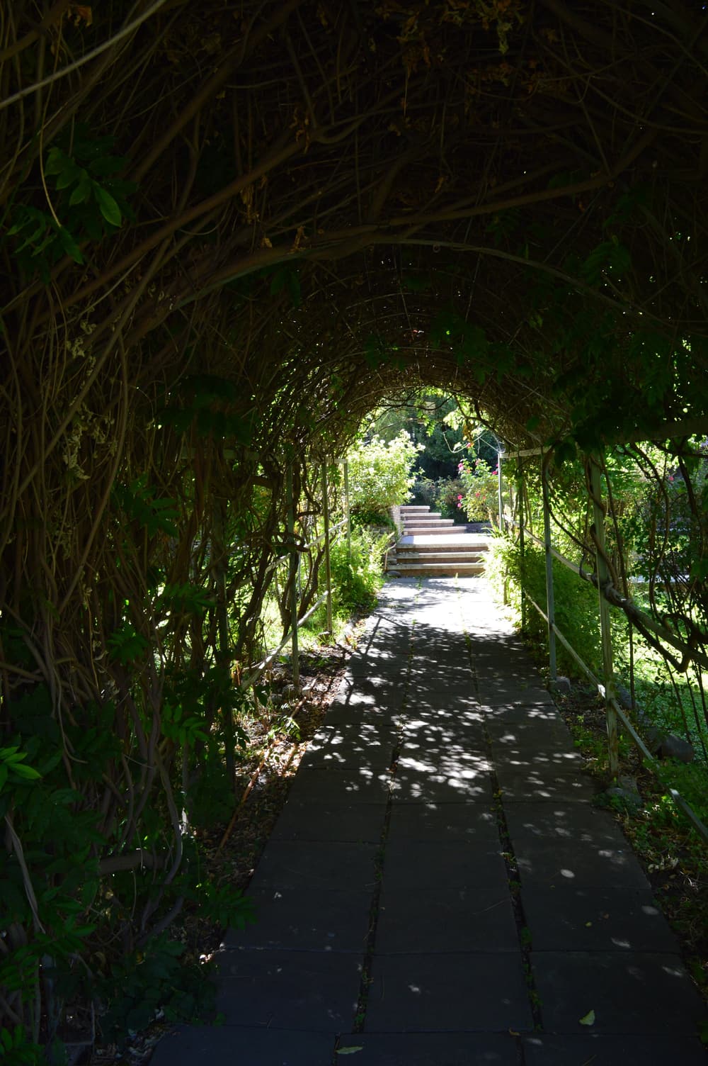 El sendero de la pérgola